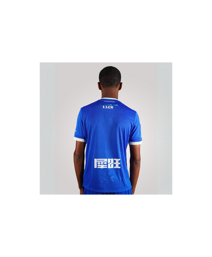 Maillot  Auxerre Third 2024 2025
